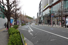 Gatuscen på väg från Harajuku station till entrén för Meiji Jingu-skogen och Meiji Jingu-templet, Tokyo
