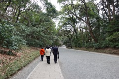 Promenaden i Meiji Jingu-skogen, Tokyo.