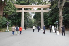 Promenaden i Meiji Jingu-skogen, Tokyo.