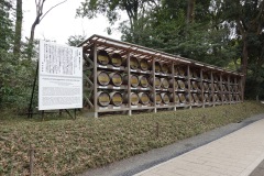 Promenaden i Meiji Jingu-skogen, Tokyo.