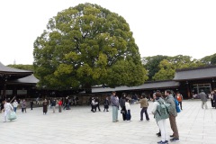 Meiji Jingu-templet, Tokyo.