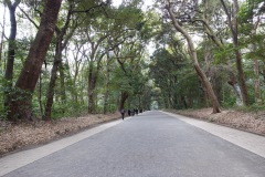 Promenaden i Yoyogi Park, Tokyo.