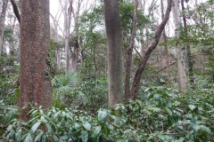 017-Tokyo-6-Mars-26_Pt1