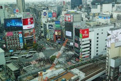 Shibuya Crossing från Shibuya Sky, Shibuya, Tokyo.