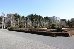 002-Tokyo-7-Mars-26_Pt1