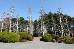 006-Tokyo-7-Mars-26_Pt1