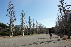 008-Tokyo-7-Mars-26_Pt1