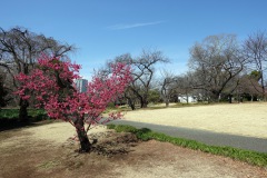 009-Tokyo-7-Mars-26_Pt1