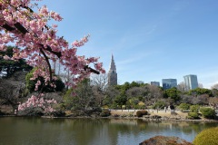 011-Tokyo-7-Mars-26_Pt1