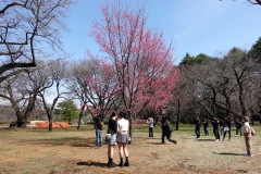 012-Tokyo-7-Mars-26_Pt1