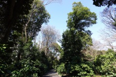 014-Tokyo-7-Mars-26_Pt1