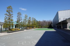 010-Tokyo-8-Mars-26