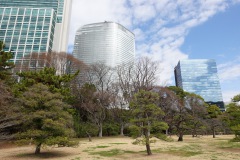 016-Tokyo-9-Mars-26