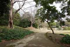 020-Tokyo-9-Mars-26