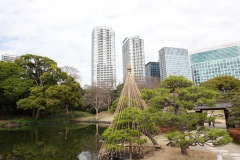 022-Tokyo-9-Mars-26