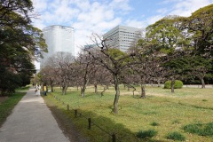 024-Tokyo-9-Mars-26