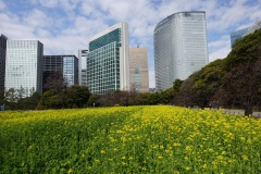 025-Tokyo-9-Mars-26