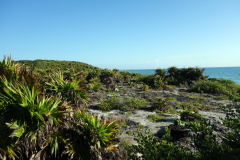 Inne på Zona Arqueológica de Tulum.