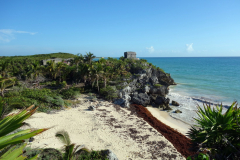 Enorma mängder sargassum på stranden, Zona Arqueológica de Tulum.