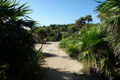 Inne på Zona Arqueológica de Tulum.