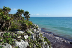 Inne på Zona Arqueológica de Tulum.