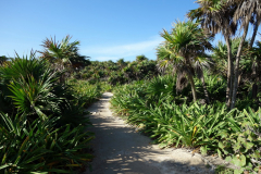 Inne på Zona Arqueológica de Tulum.