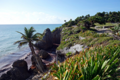 Inne på Zona Arqueológica de Tulum.