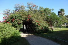 Inne på Zona Arqueológica de Tulum.