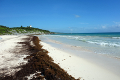 Playa Santa Fe, Tulum.