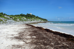 Playa Santa Fe, Tulum.