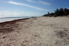 Playa Santa Fe, Tulum.