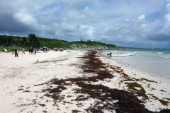 Playa Santa Fe, Tulum.