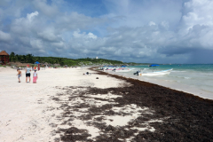 Playa Santa Fe, Tulum.