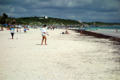 Playa Santa Fe, Tulum.