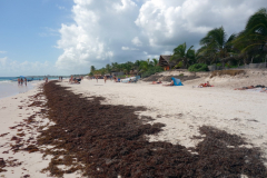 Playa Paraiso, Tulum.