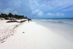 Playa Las Palmas, Tulum.