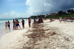 Playa Las Palmas, Tulum.