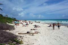 Playa Las Palmas, Tulum.