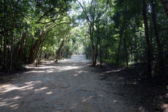En av de större promenadvägarna inne på Zona arqueológica de Cobá.