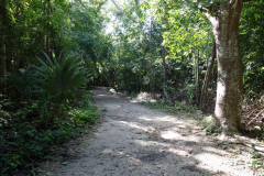 En av stigarna i ruinstaden, Zona arqueológica de Cobá.