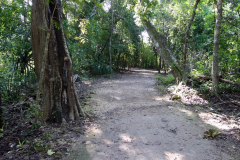 En av stigarna i ruinstaden, Zona arqueológica de Cobá.
