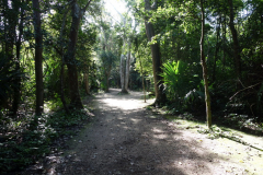 En av stigarna i ruinstaden, Zona arqueológica de Cobá.