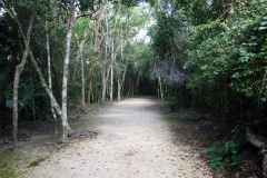 Området var fantastiskt trevligt att promenera genom, Zona arqueológica de Cobá.