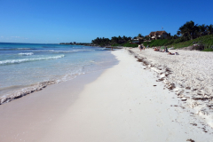 Absolut världsklass. Stranden Playa Las Palmas, Tulum.