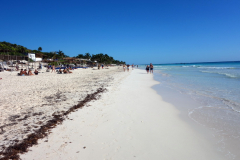 Absolut världsklass. Stranden Playa Las Palmas, Tulum.