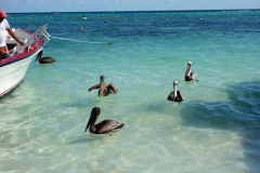 Playa Akumal, Akumal.