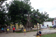 Parque Sisal, Valladolid.