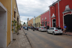 Gatuscen i centrala Valladolid.