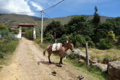 Längst upp i bild entrén till Hostal Renacer, Villa de Leyva.