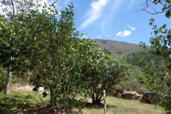 Utsikten från rummet på Hostal Renacer, Villa de Leyva.